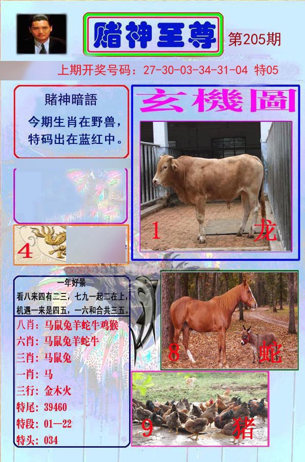2024205期赌神至尊