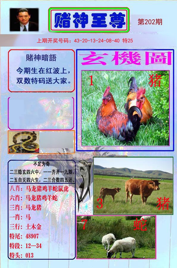 2024202期赌神至尊