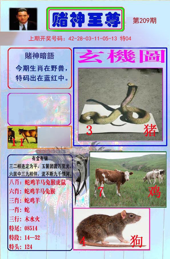 2024209期赌神至尊