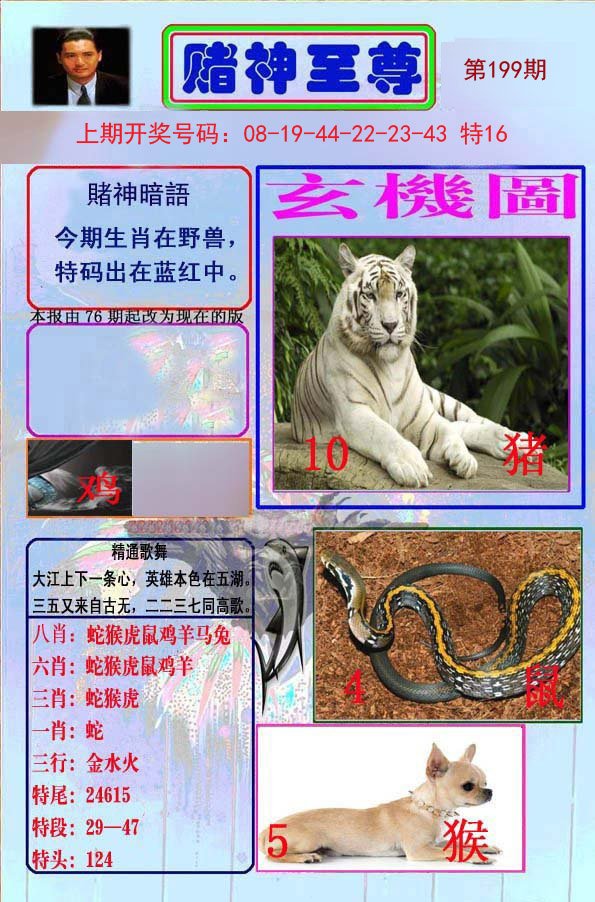 2024199期赌神至尊