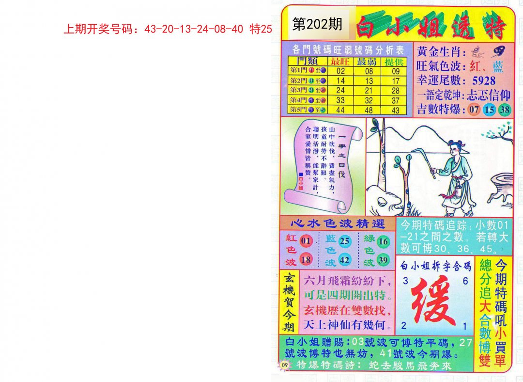 2024202期白小姐透特