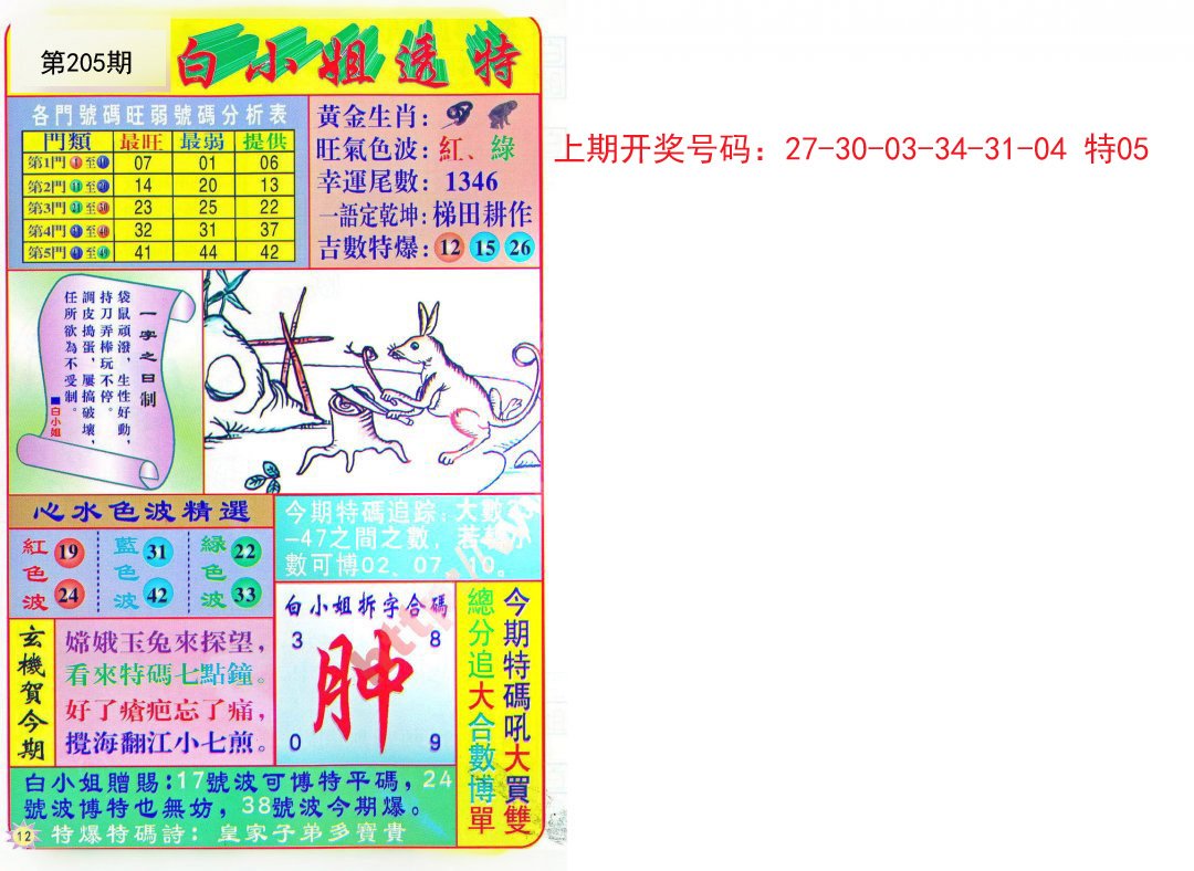 2024205期白小姐透特