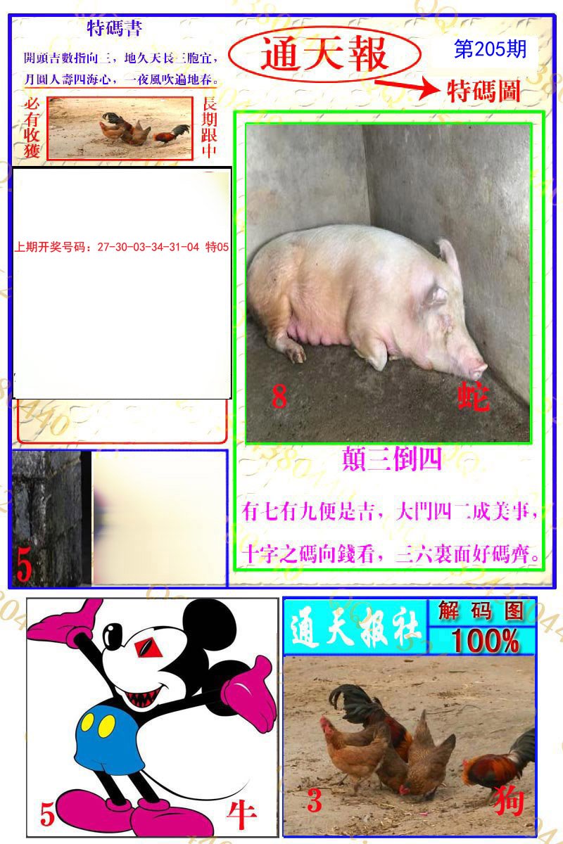 2024205期通天特解图