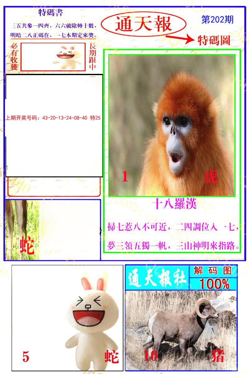 2024202期通天特解图