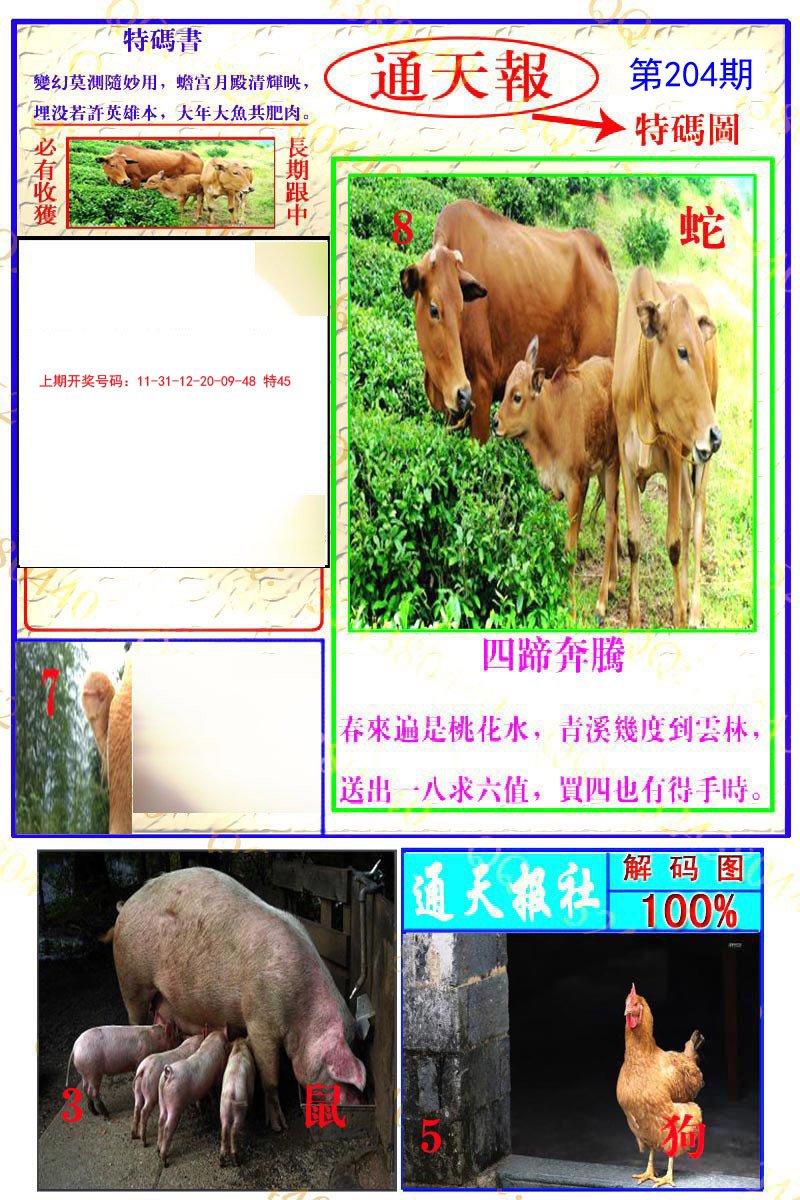 2024204期通天特解图
