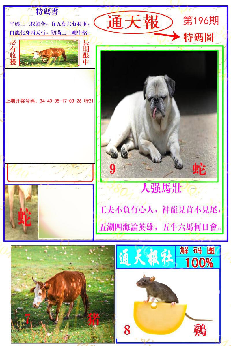2024196期通天特解图