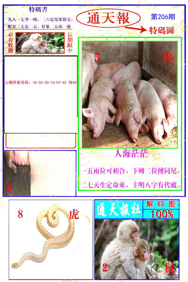 2024206期通天特解图