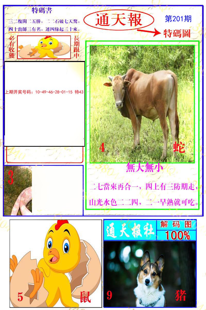 2024201期通天特解图