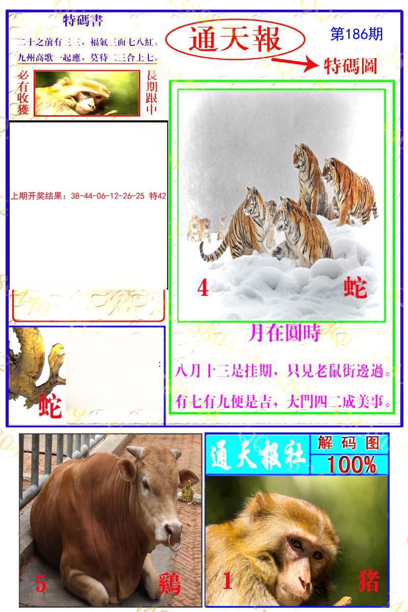 2024186期通天特解图