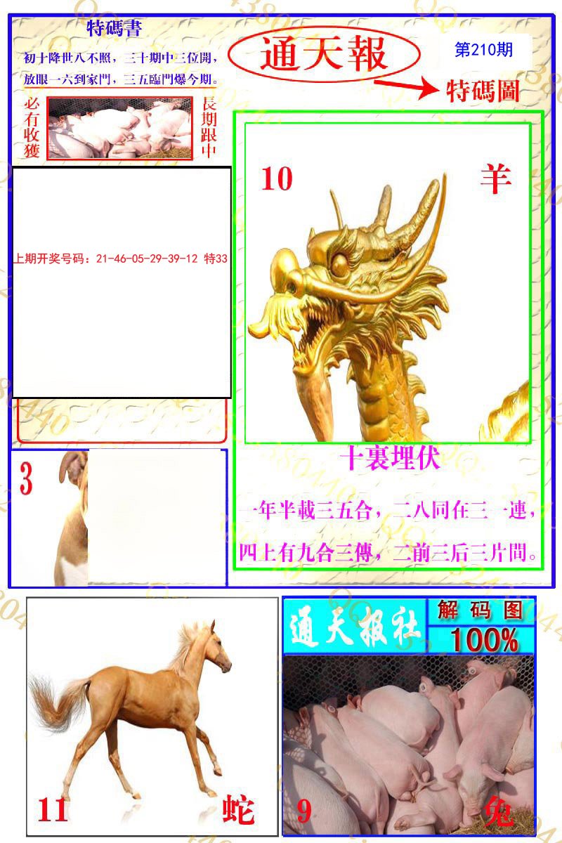 2024210期通天特解图