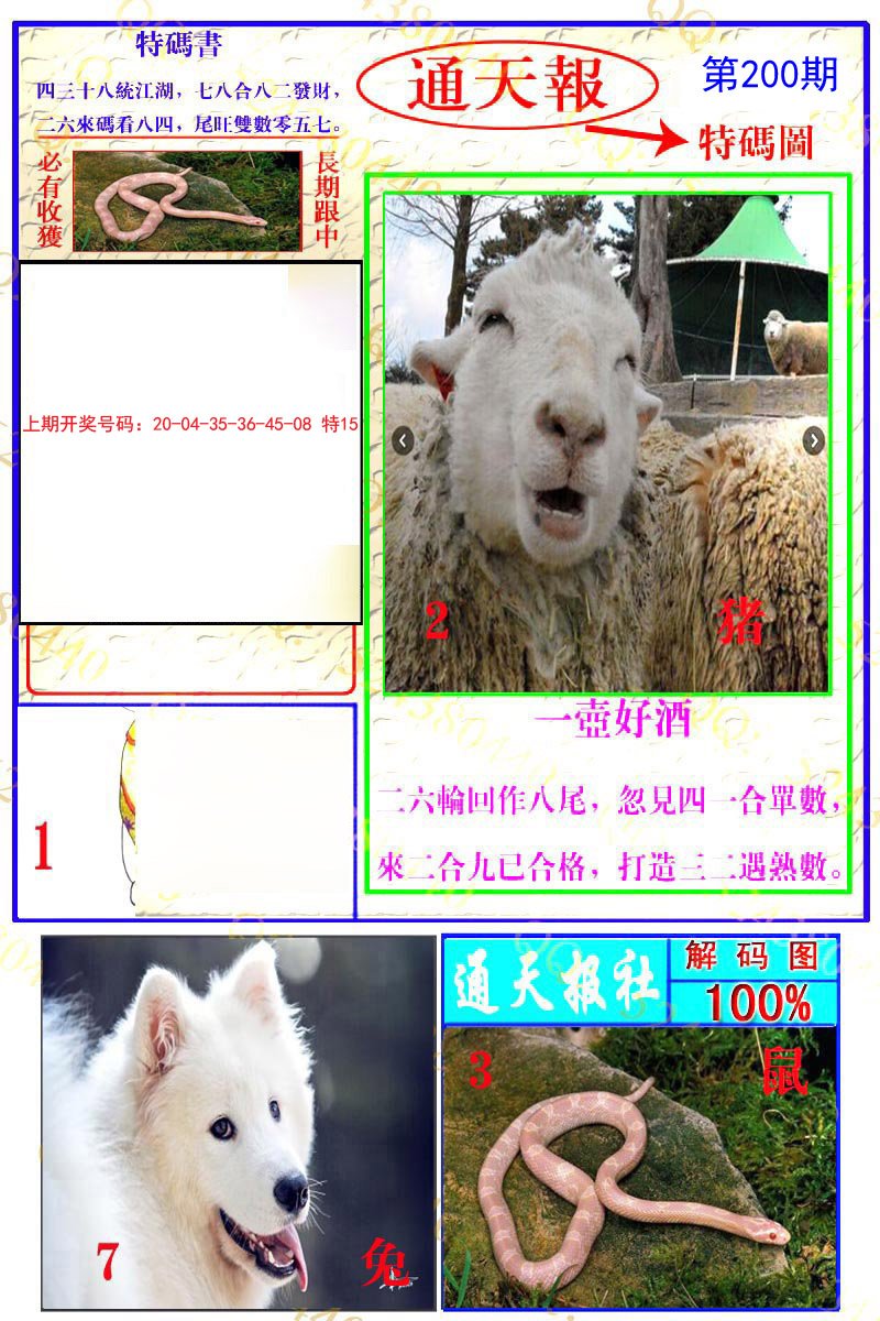 2024200期通天特解图