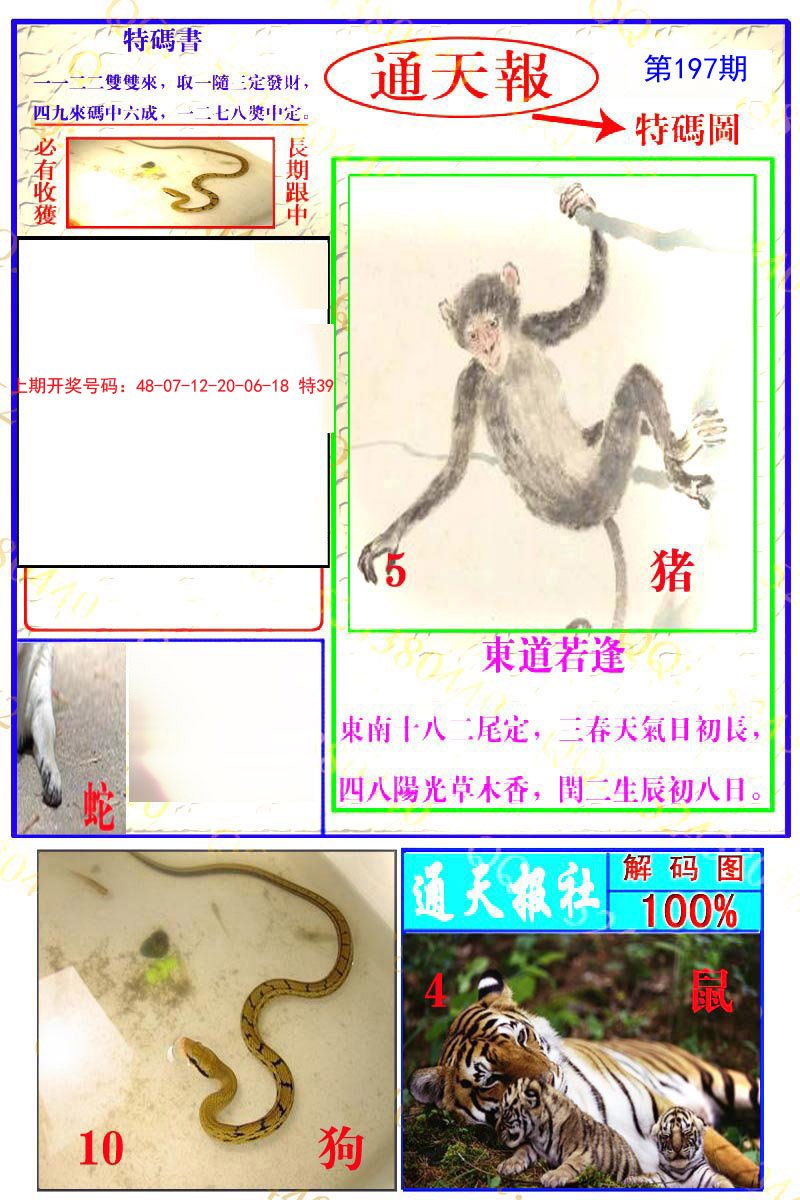 2024197期通天特解图
