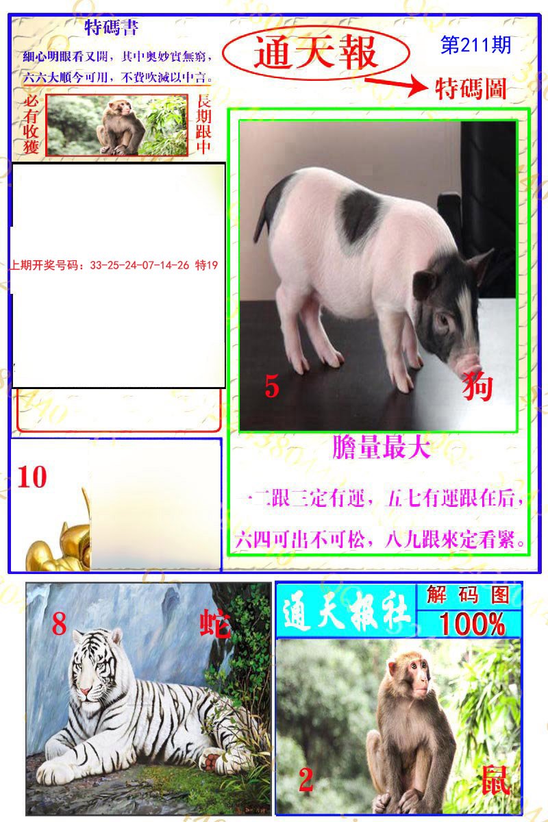 2024211期通天特解图