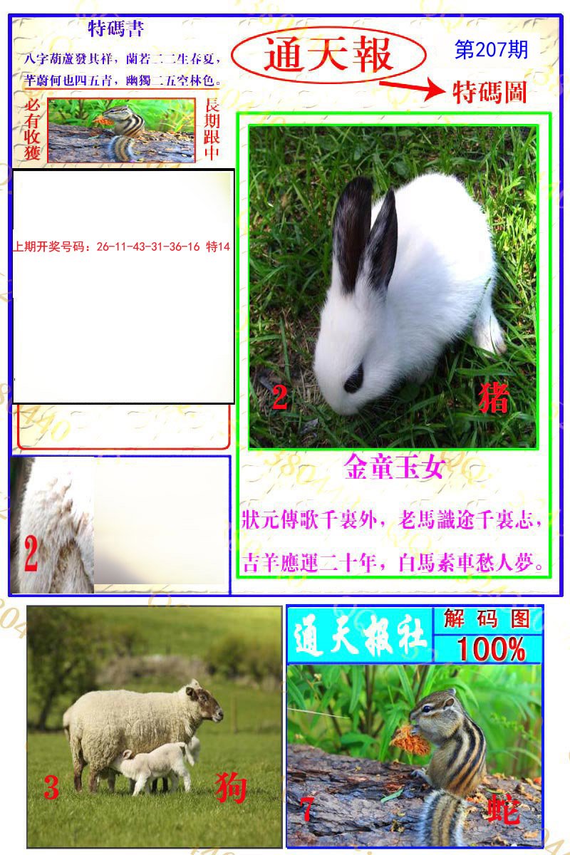 2024207期通天特解图