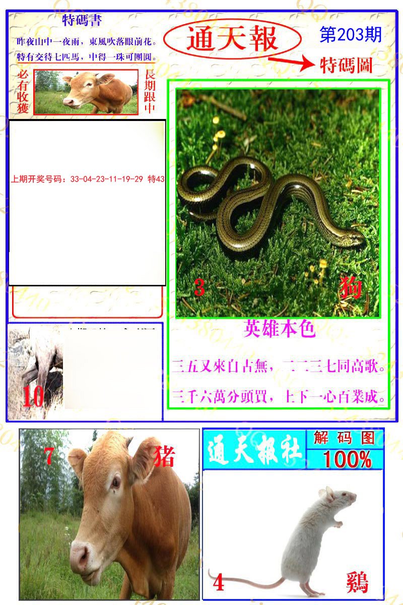 2024203期通天特解图