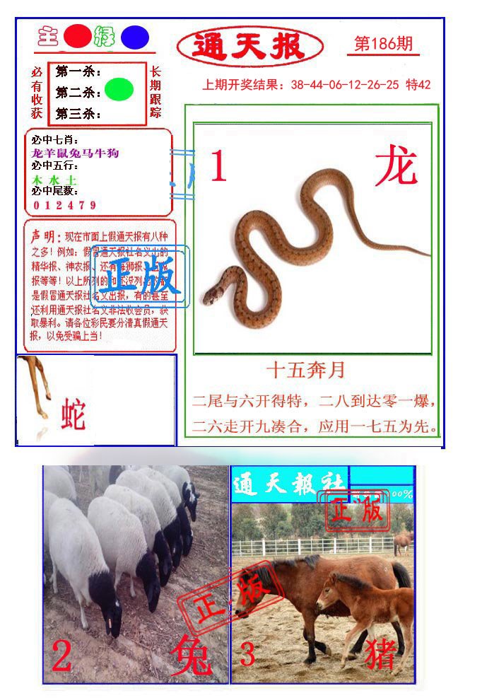 2024186期通天杀波图1