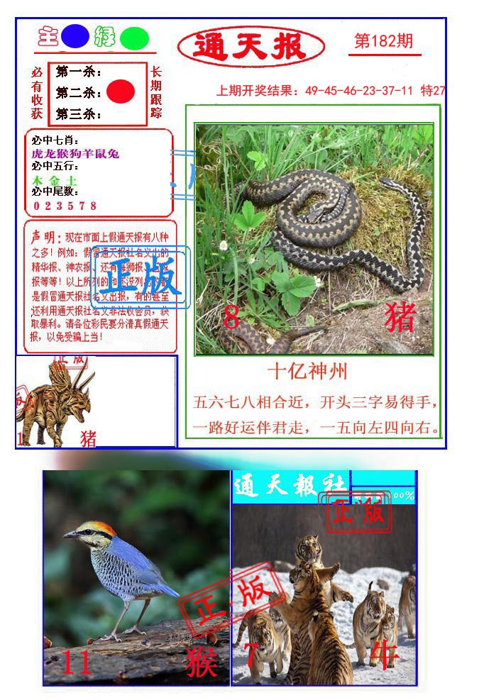 2024182期通天杀波图1