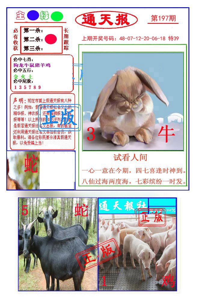 2024197期通天杀波图1