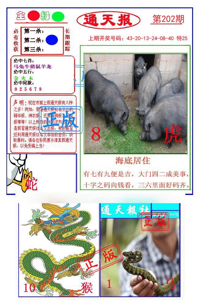 2024202期通天杀波图1