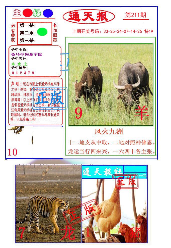 2024211期通天杀波图1
