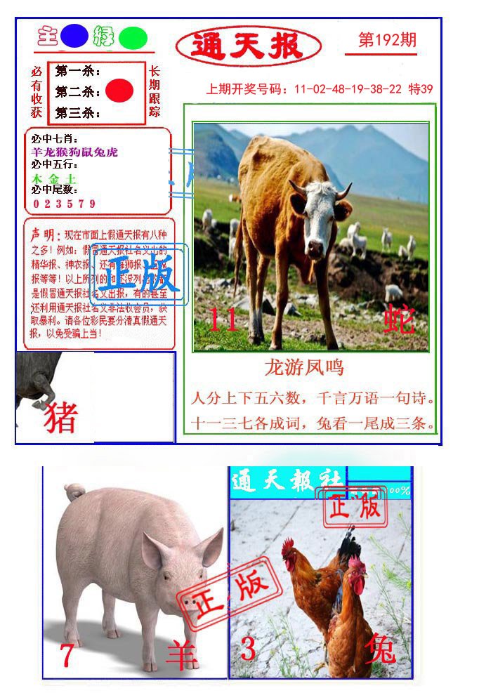 2024192期通天杀波图1