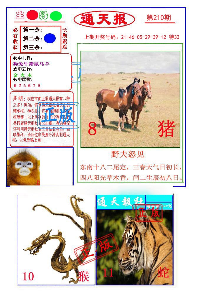 2024210期通天杀波图1