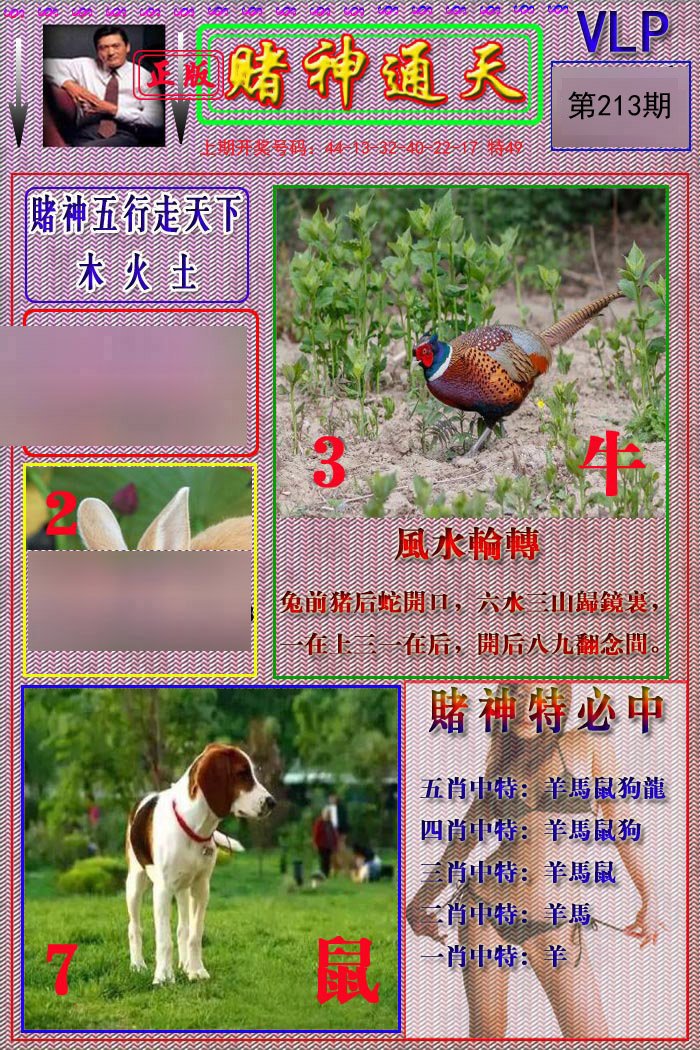 2024213期赌神通天报