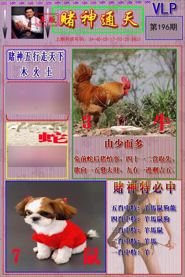 2024196期赌神通天报