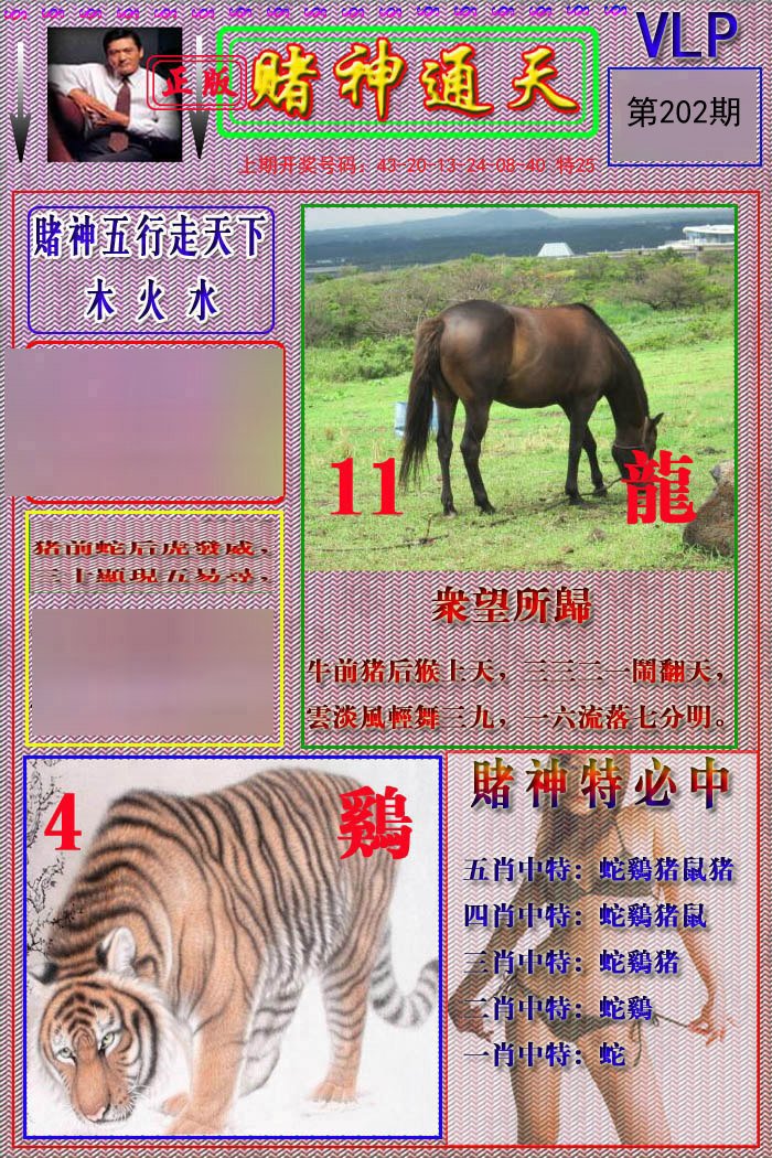 2024202期赌神通天报