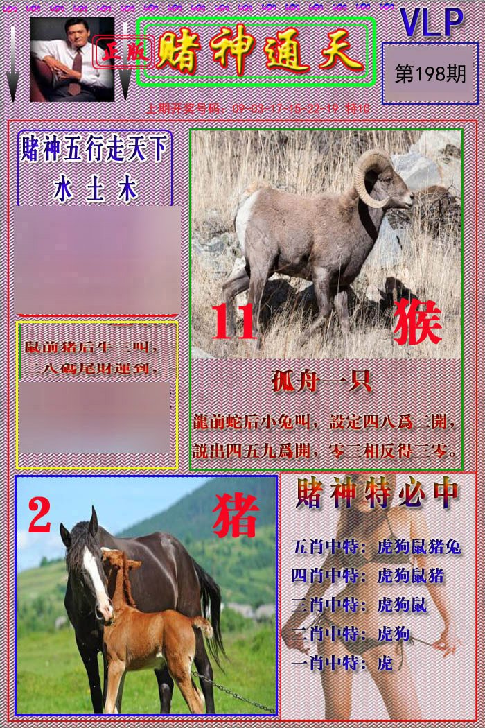 2024198期赌神通天报