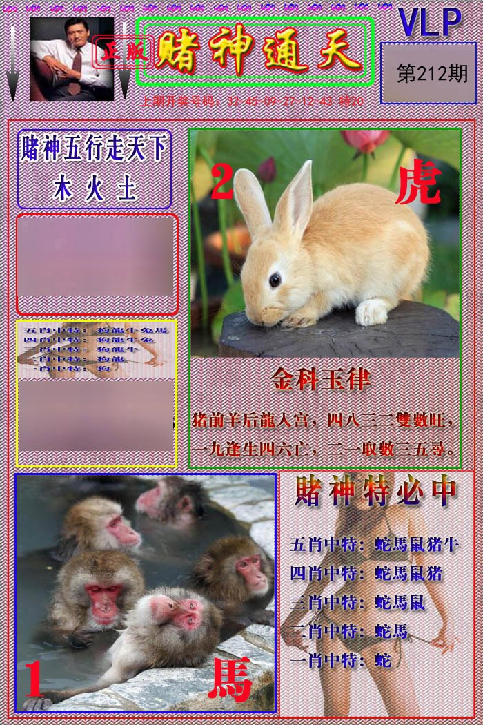 2024212期赌神通天报