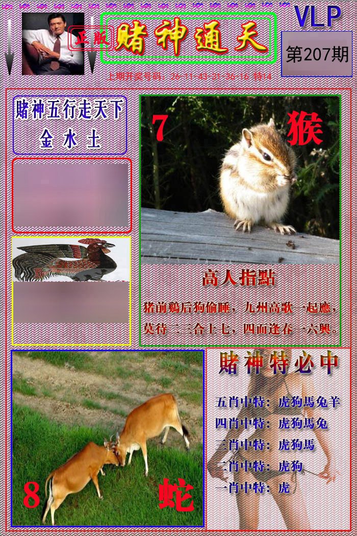 2024207期赌神通天报