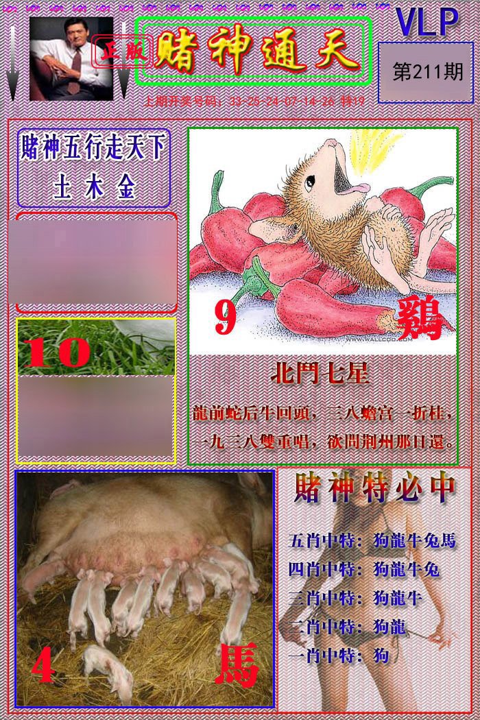 2024211期赌神通天报