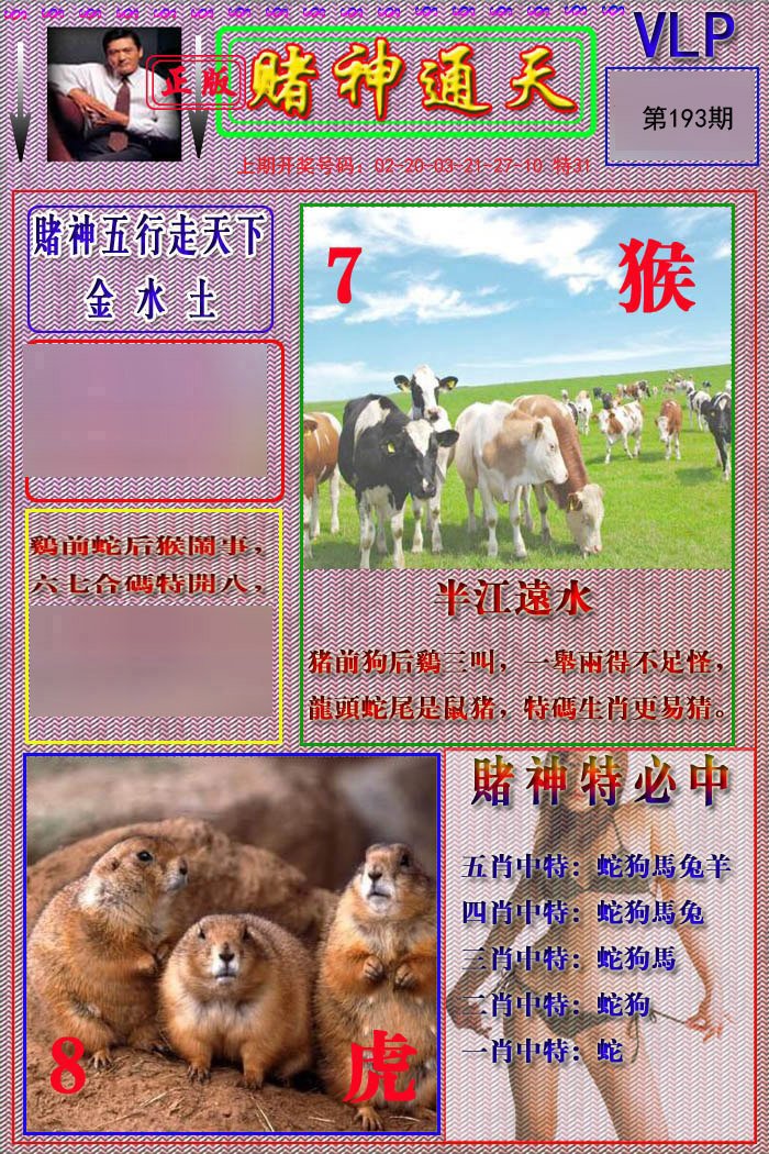 2024193期赌神通天报