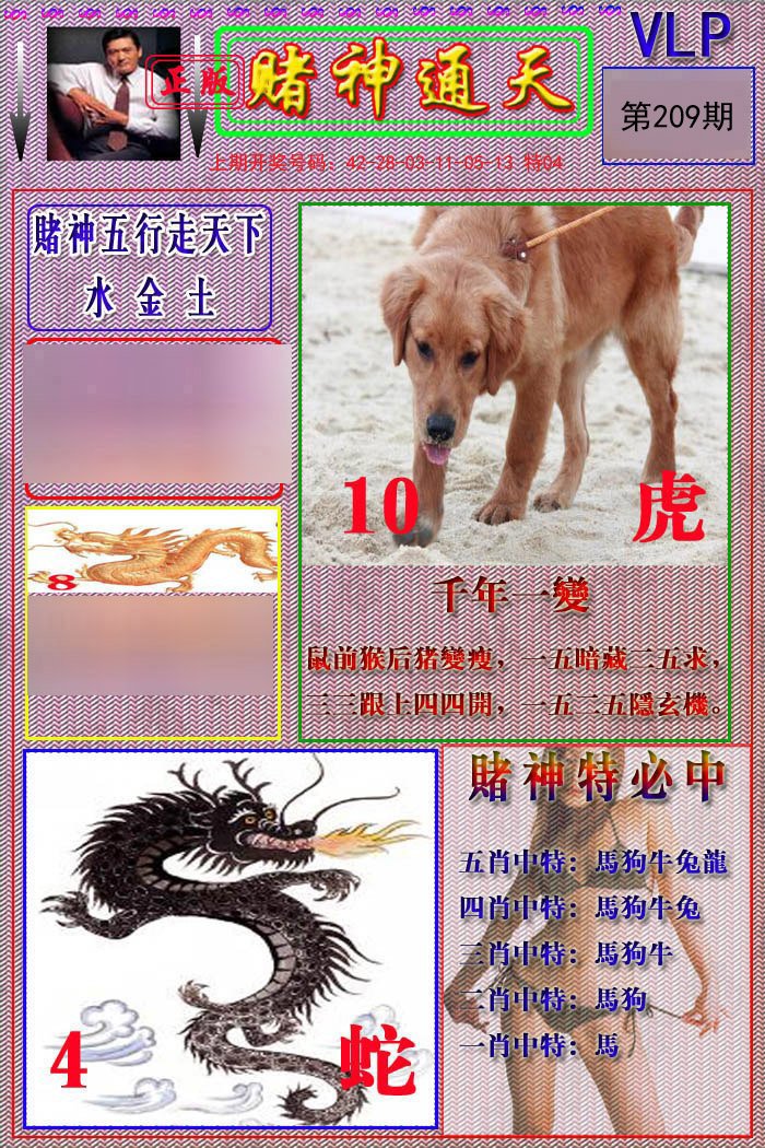 2024209期赌神通天报