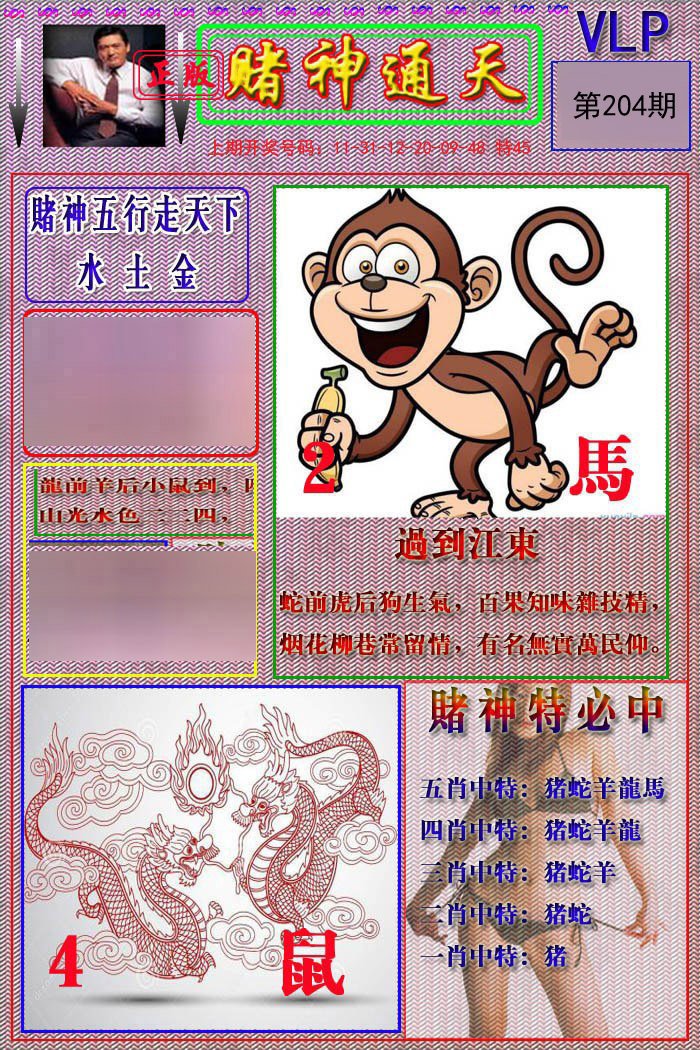 2024204期赌神通天报