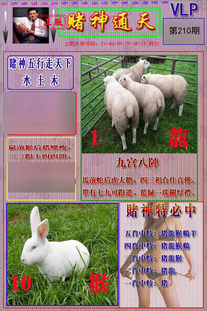 2024210期赌神通天报