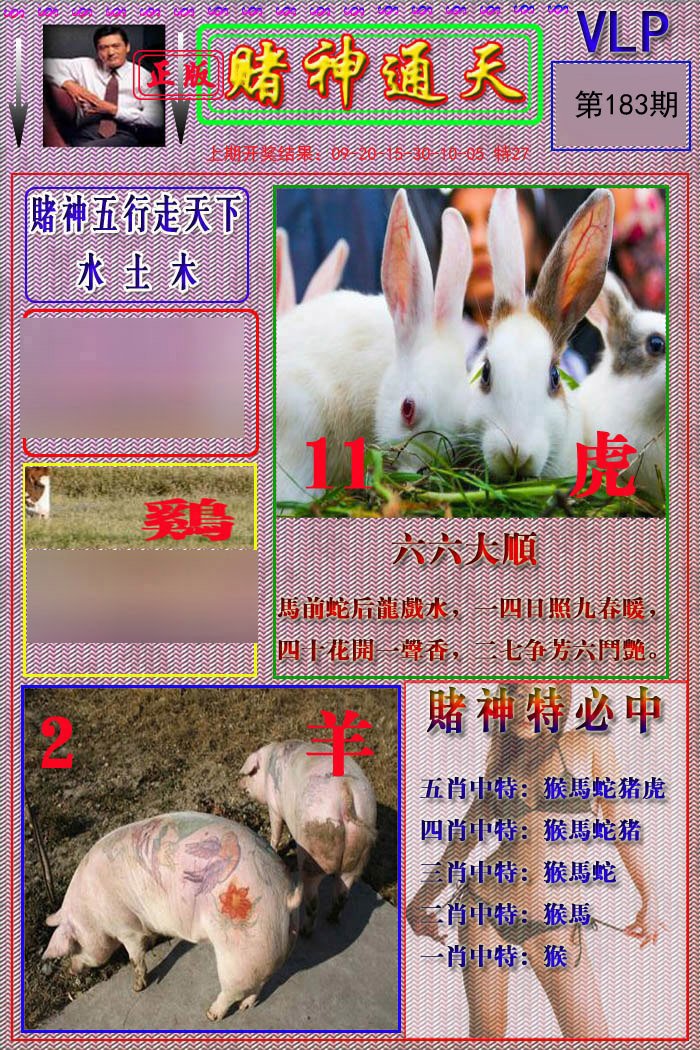 2024183期赌神通天报