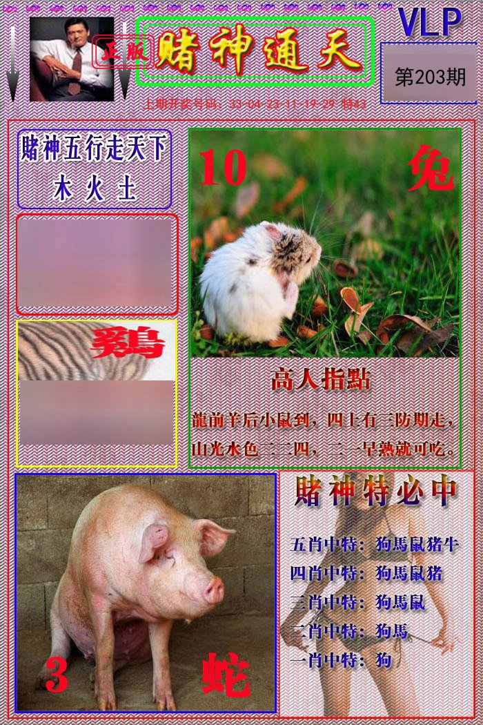 2024203期赌神通天报