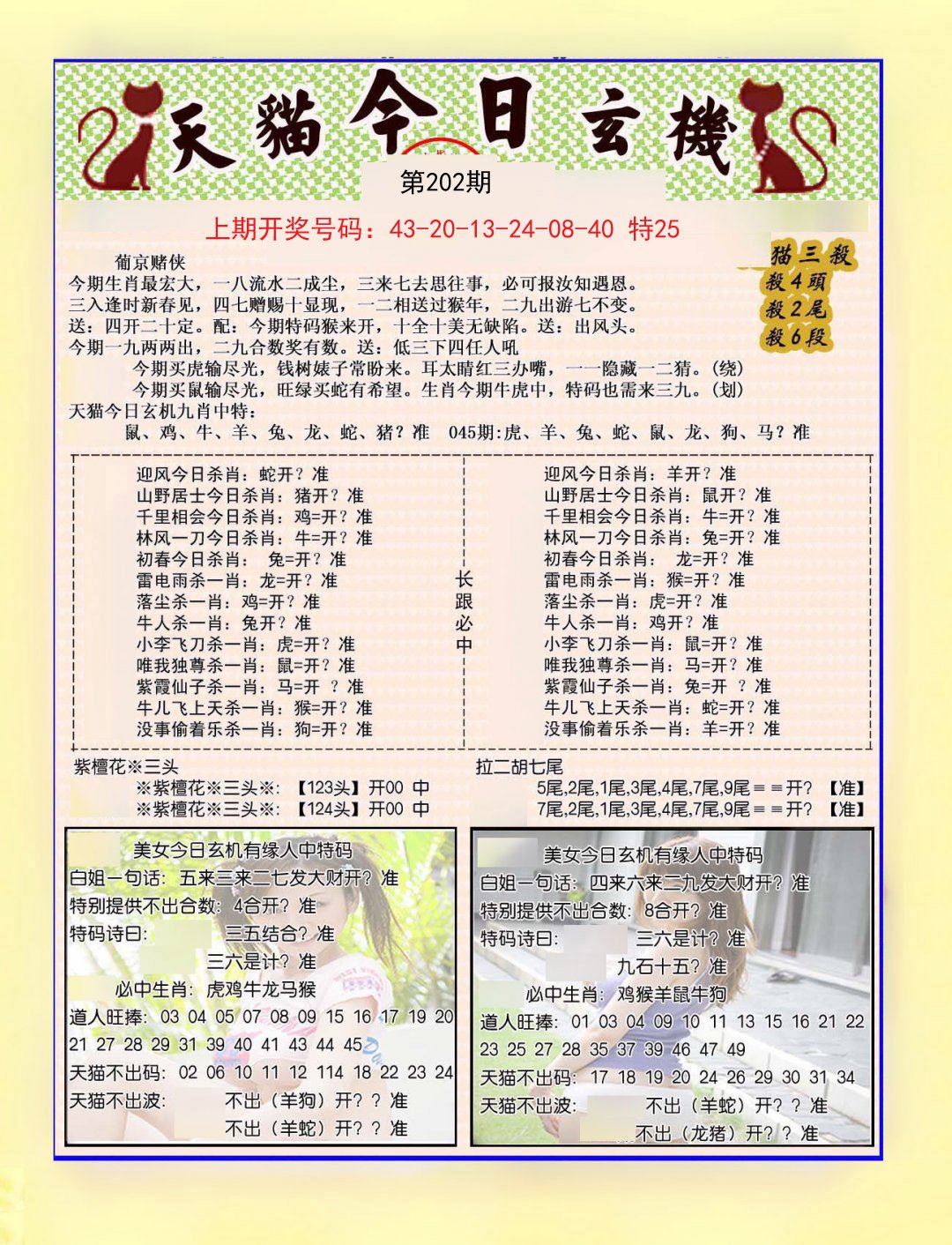 2024202期今日玄机图B