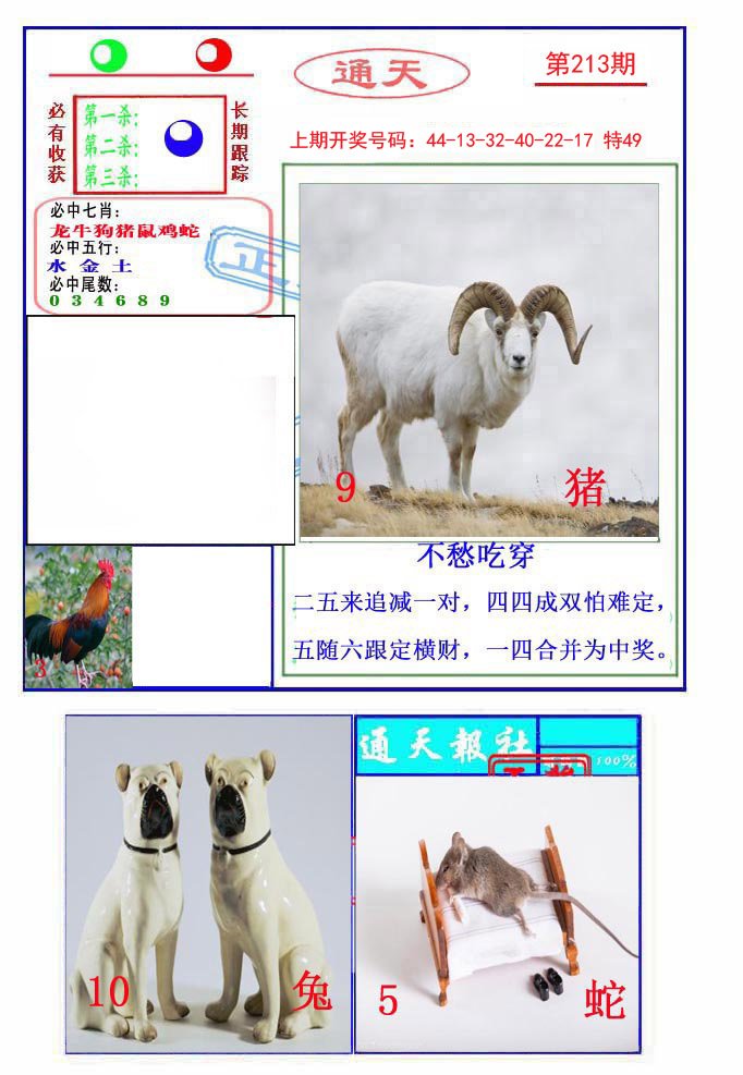 2024213期通天杀波图2