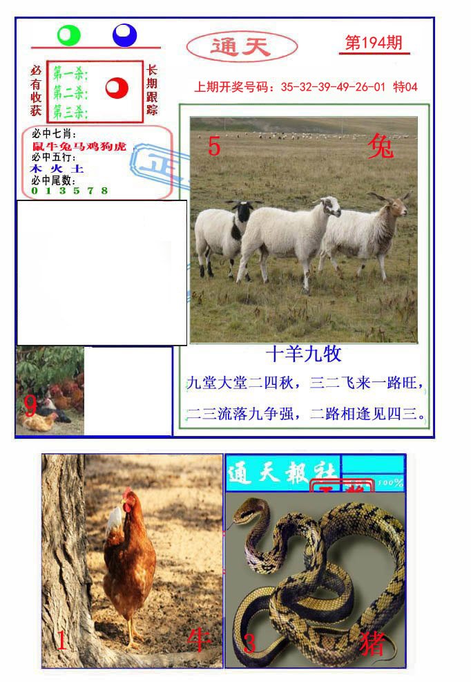 2024194期通天杀波图2