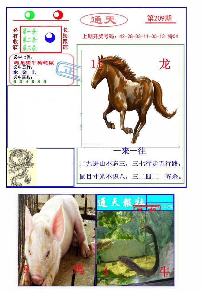 2024209期通天杀波图2
