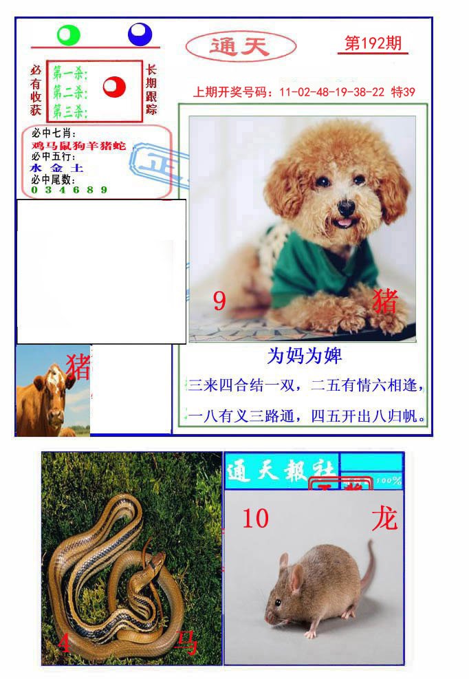 2024192期通天杀波图2