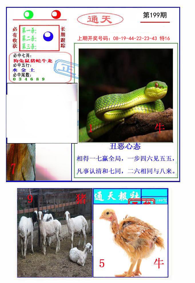 2024199期通天杀波图2