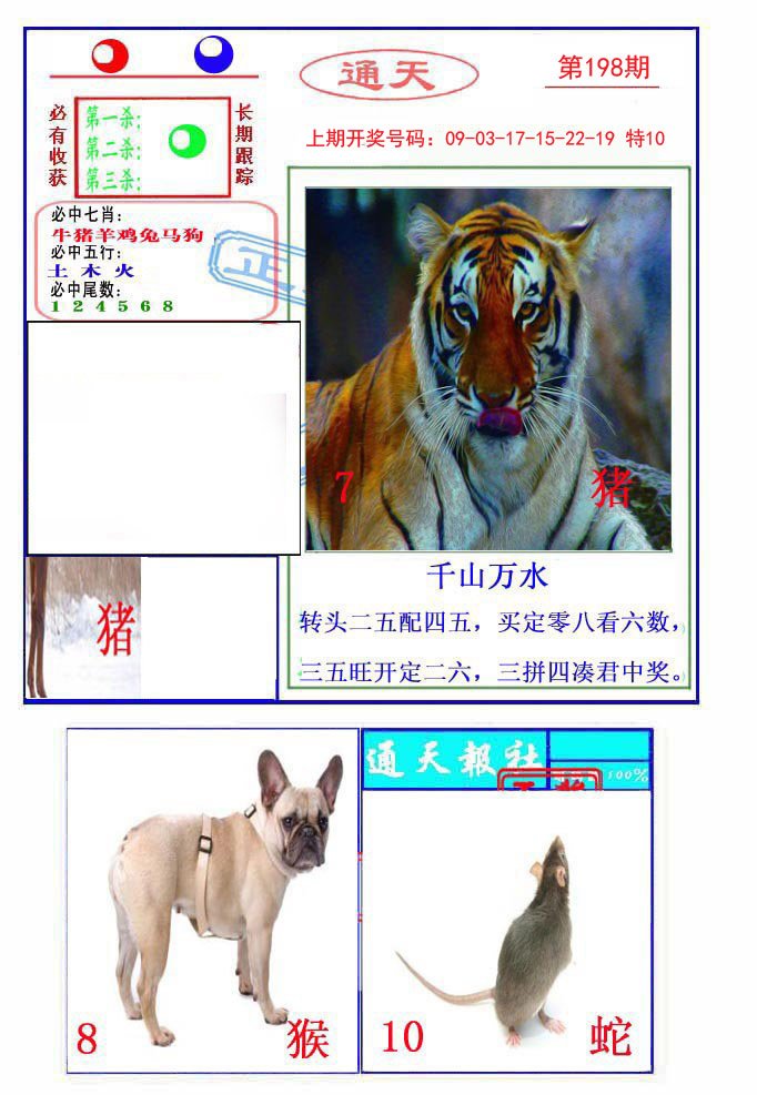 2024198期通天杀波图2