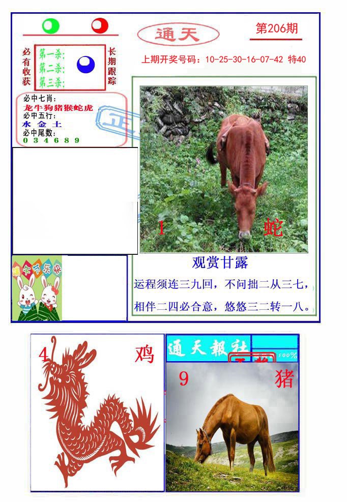 2024206期通天杀波图2