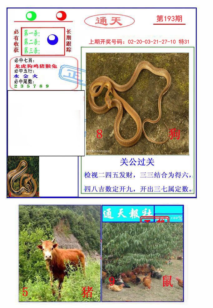 2024193期通天杀波图2