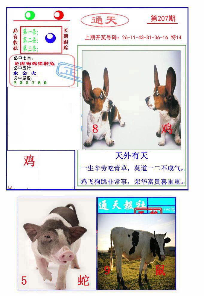 2024207期通天杀波图2