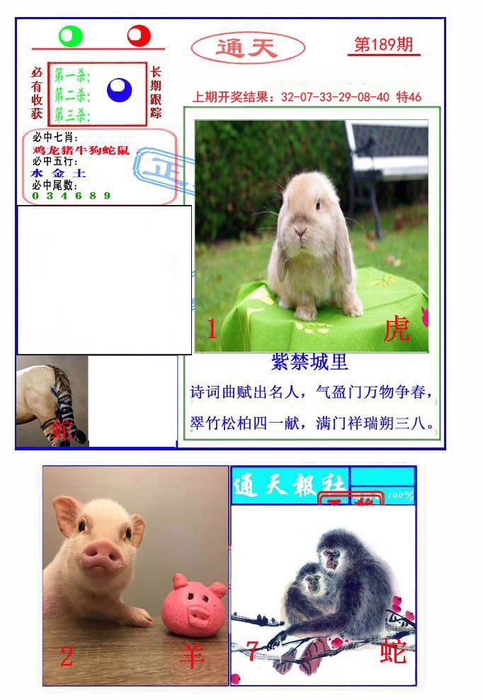 2024189期通天杀波图2